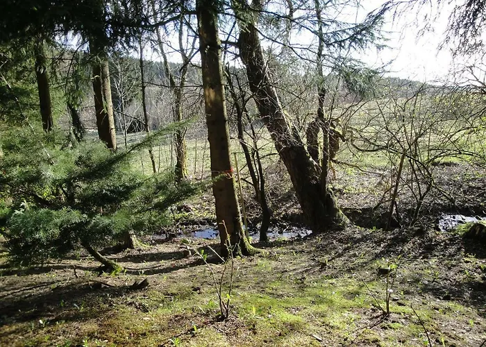 Ferienwohnung Wandervogel