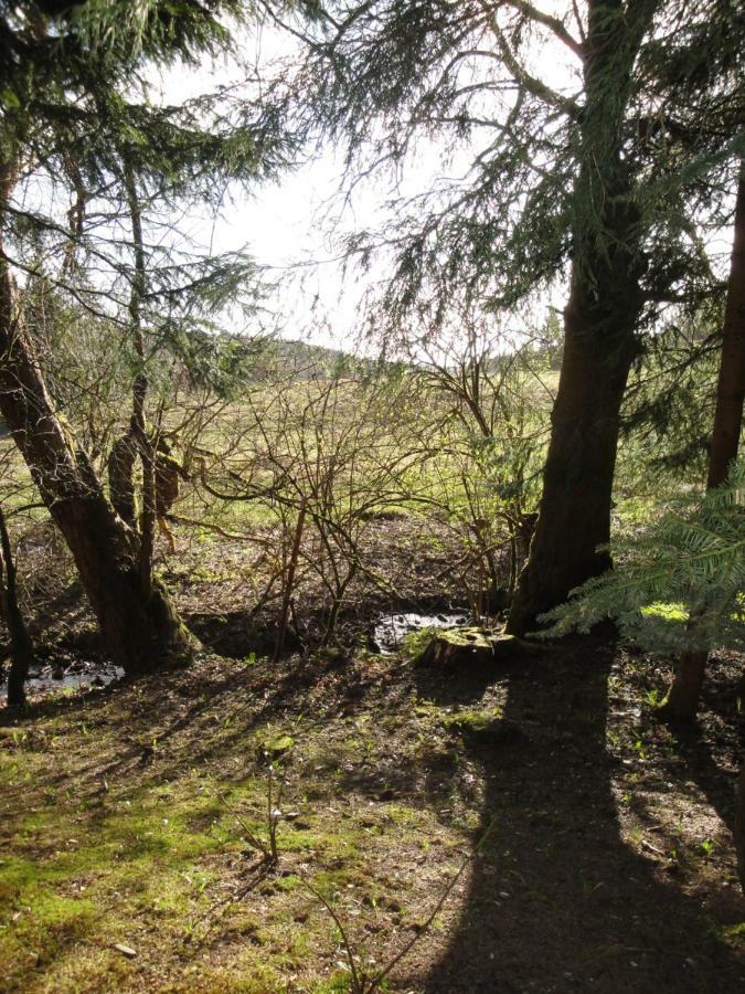 Wandervogel * Braunlage