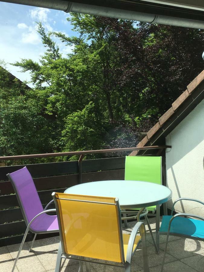 Wandervogel Braunlage