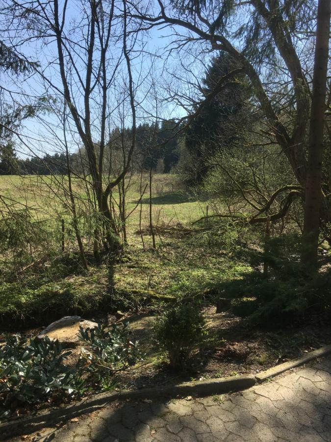 Wandervogel *